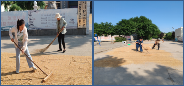 图片1_副本.png